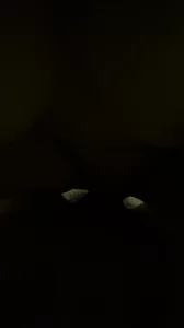 原创 深圳暴操巨乳学生妹妹 - 91视频|91自拍|国产自拍